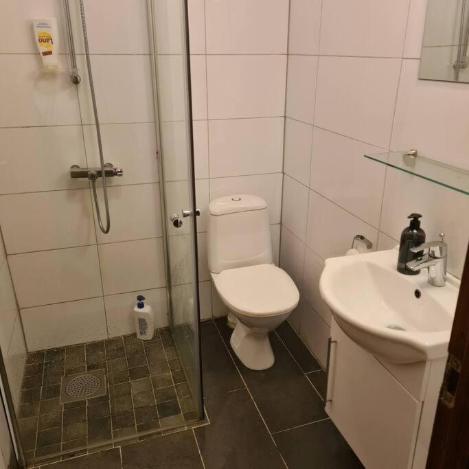 Lake View Apartment, Oldedalen Stryn Εξωτερικό φωτογραφία